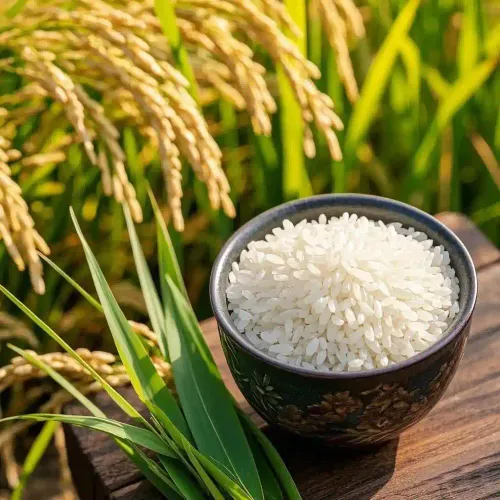 Rice