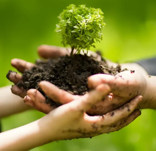 Fertilizer
